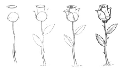 Cum Sa Desenezi Un Trandafir Oldartink